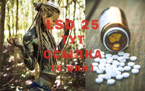 PSILOCYBIN Верея