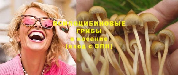 ГАЛЛЮЦИНОГЕННЫЕ ГРИБЫ Бугульма