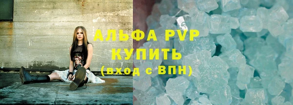 PSILOCYBIN Верея